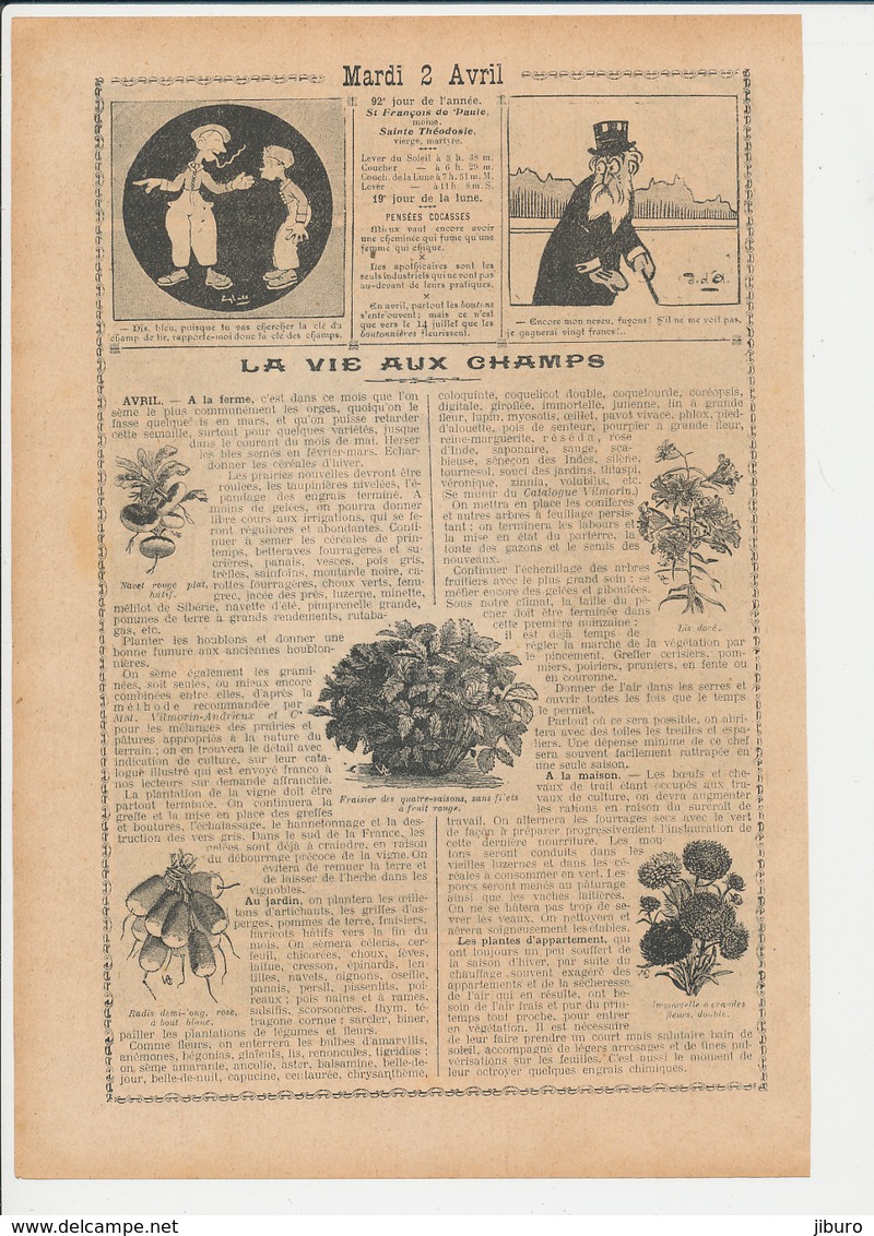 2 Scans Le Mois De D'Avril Premier Avril Saint-Hugues Sainte Jacqueline Cueillette Des Champignons Mushroom 223CH31 - Non Classés