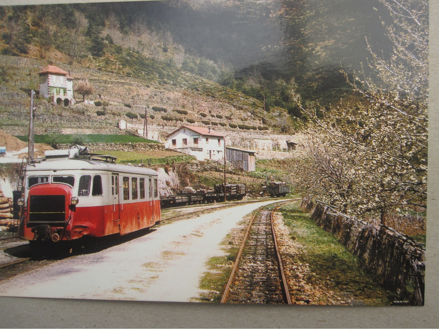 N° 69 CIE CFD RESEAU DU VIVARAIS : Entrée En Gare De ST Martin De Valamas - Saint Martin De Valamas