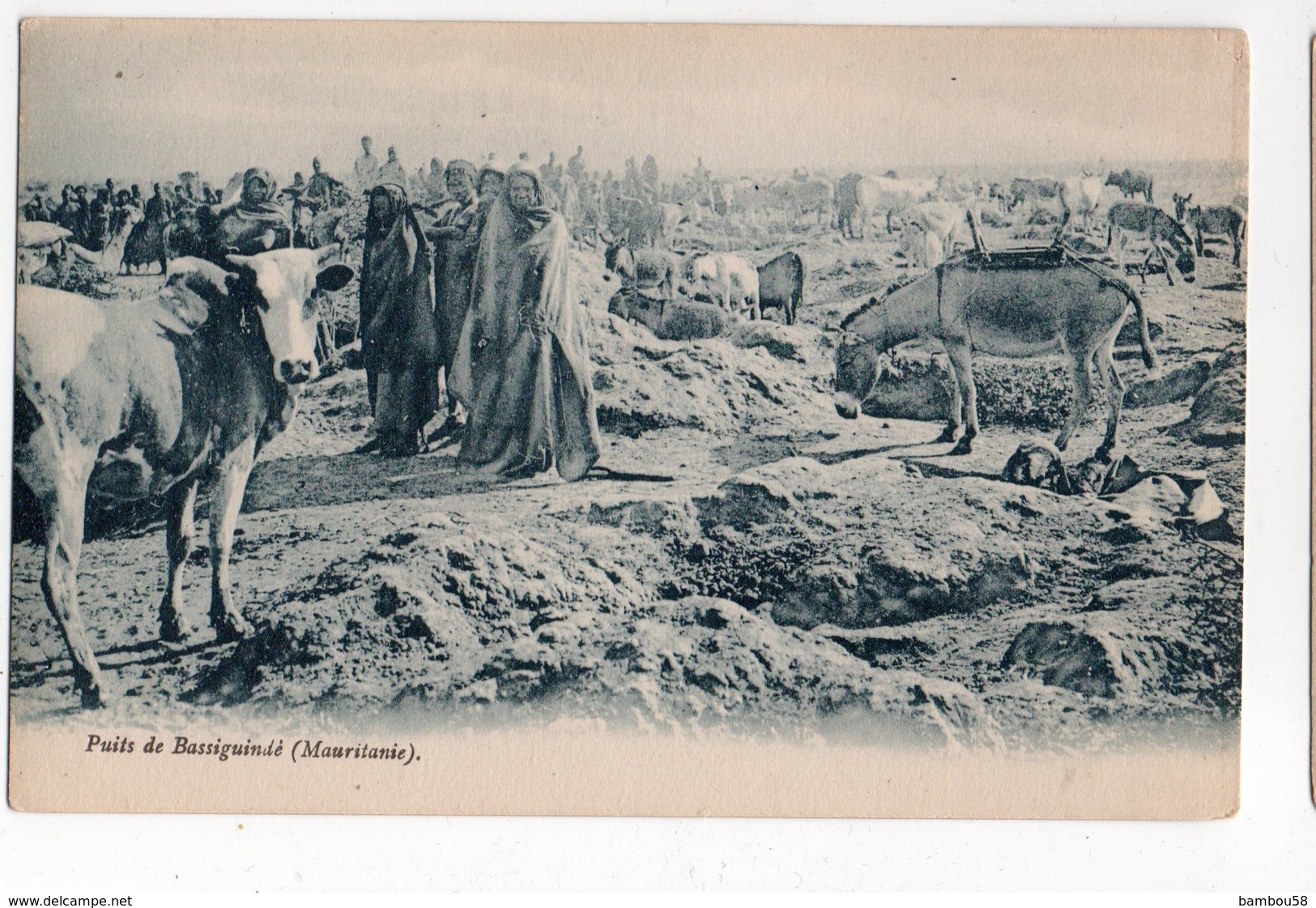 MAURITANIE * AFRIQUE * PUITS DE BASSIGUINDE * ANE * BOEUF * Carte Bleutée - Mauritanie