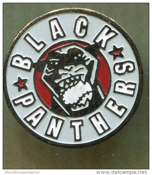 Pin's - Black Panthers - Baseball - BREAL SOUS MONFORT - Bretagne Ille Et Vilaine - Baseball