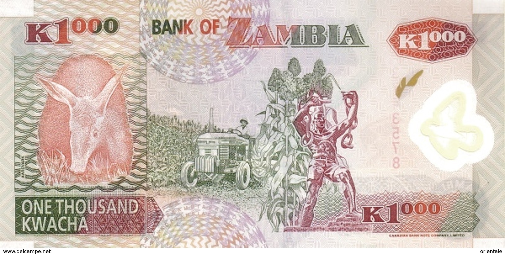 ZAMBIA P. 44b 1000 Z 2003 UNC - Zambie