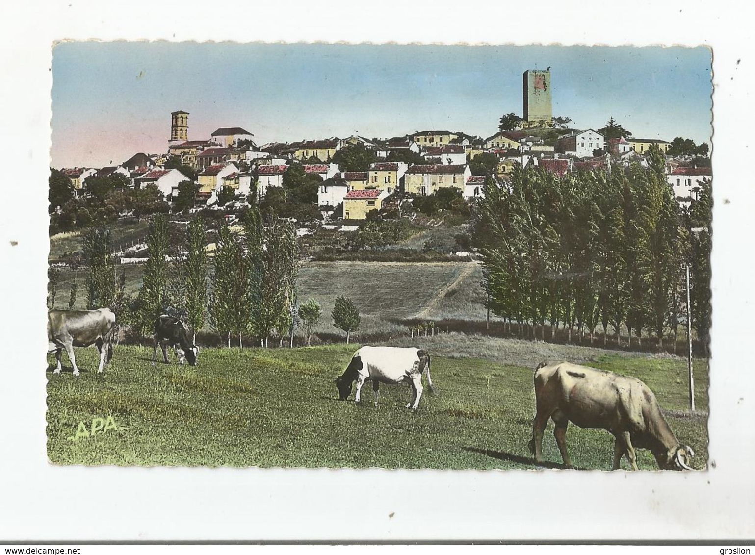 MONTCUQ (LOT) 3 VUE GENERALE PANORAMIQUE (VACHES BRIOUTANT) - Montcuq