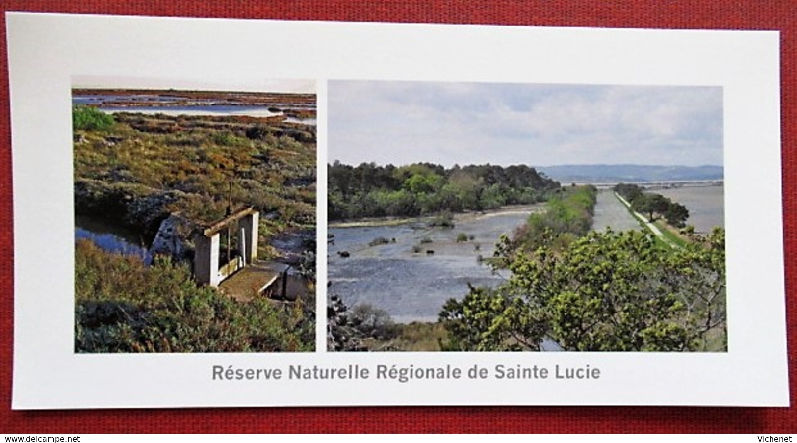 11 - Port-la-Nouvelle - Réserve Naturelle De Sainte Lucie - Ancien Salin - Port La Nouvelle