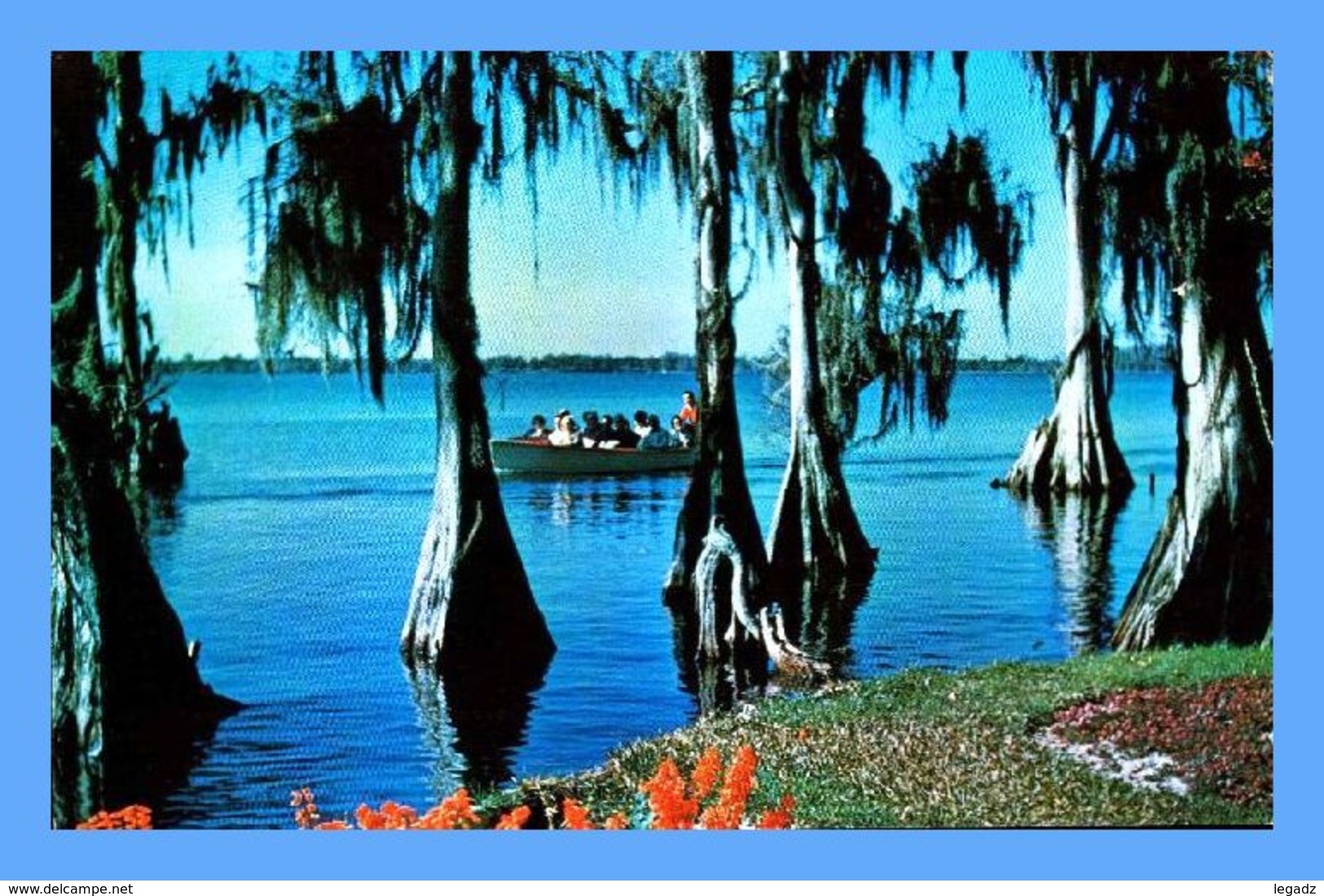 CPSM - Cypress Gardens - Bradenton (Floride) - 121. Fascinating Silouhettes Of Century Old Cypress Trees - Bradenton
