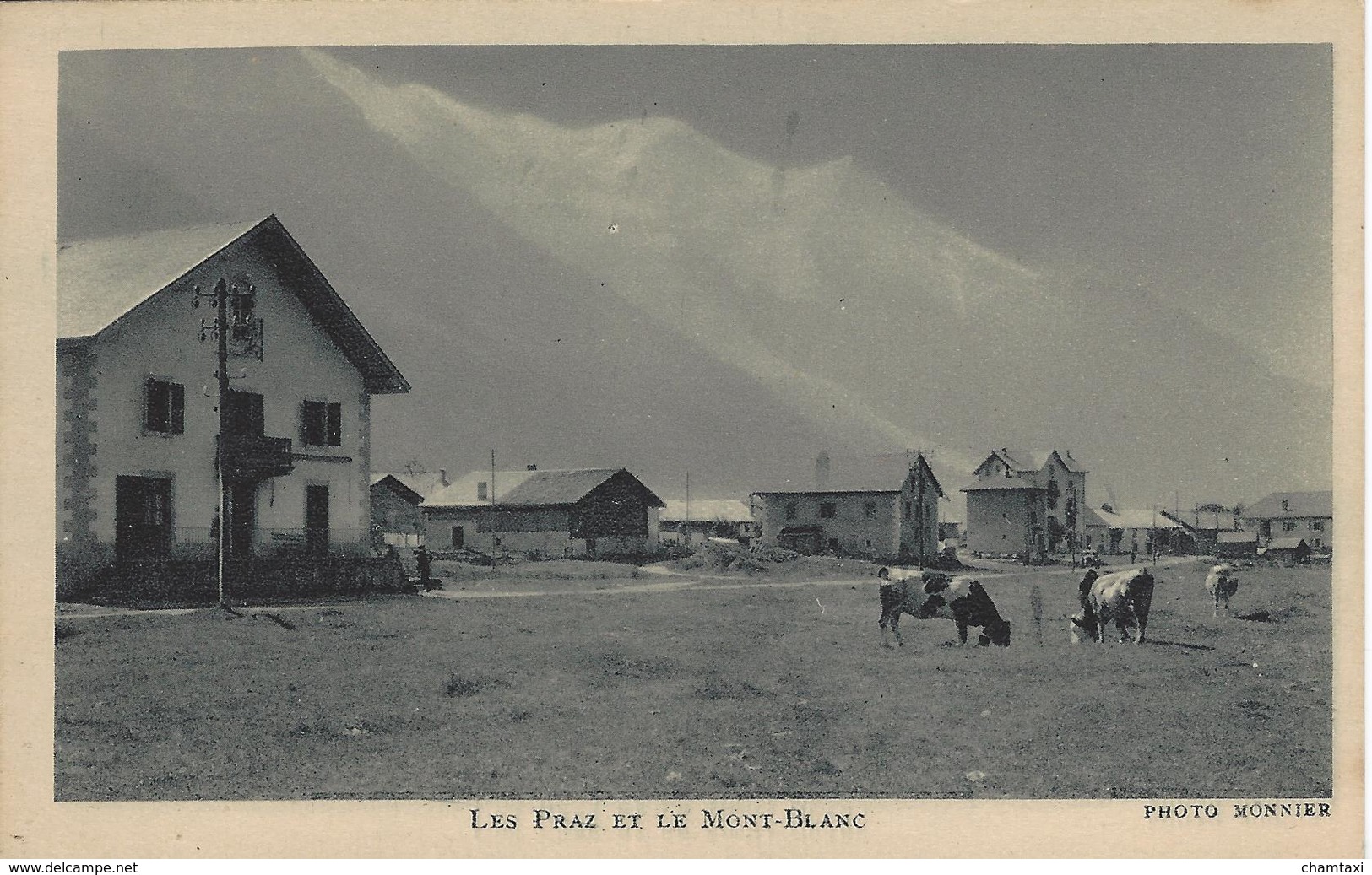 74 LES PRAZ DE CHAMONIX TROUPEAU DE VACHES EN PÂTURAGE DANS LE CENTRE DU VILLAGE  VALLEE DE CHAMONIX MONT BLANC - Chamonix-Mont-Blanc