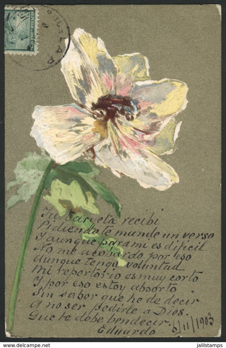 ARTIST SIGNED: Hand-painted Flower, Used In 1903, VF Quality - Altri & Non Classificati