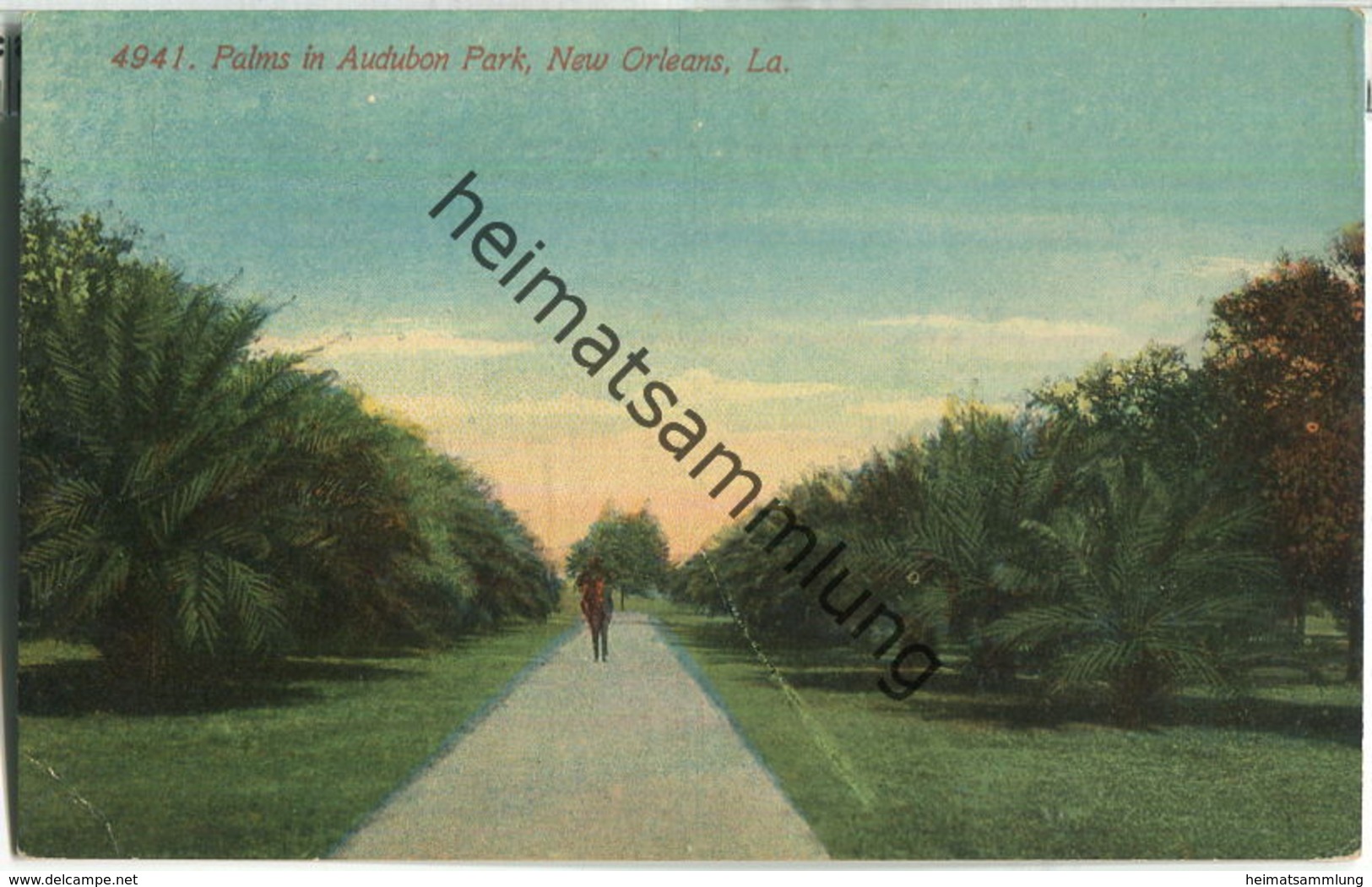 New Orleans - Palms In Audubon Park - Baton Rouge