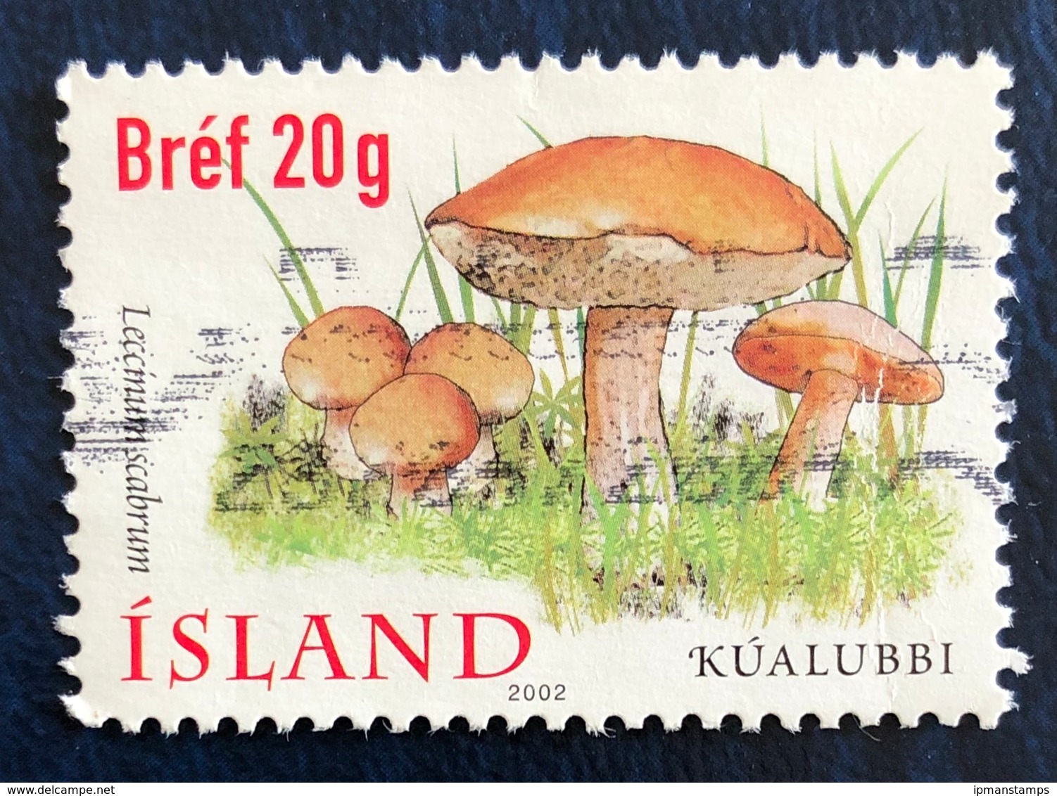 Funghi III Serie. Leccinum Scabrum - Mushrooms - Used Stamps