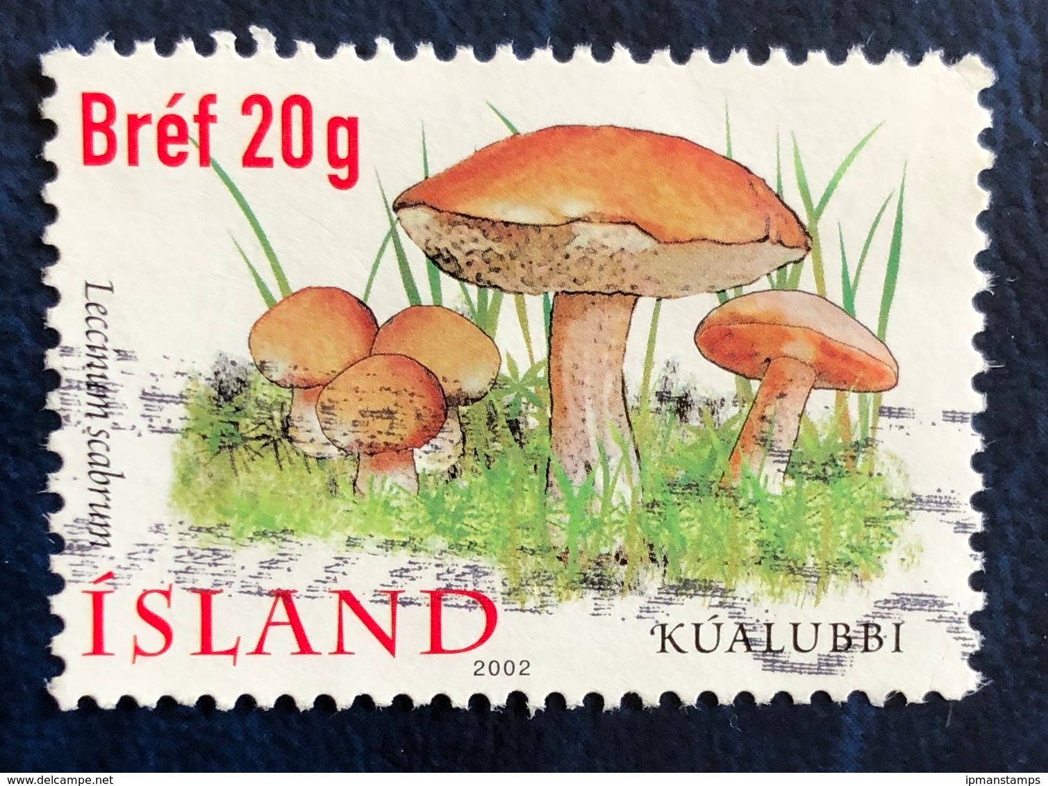 Funghi III Serie. Leccinum Scabrum - Mushrooms - Used Stamps