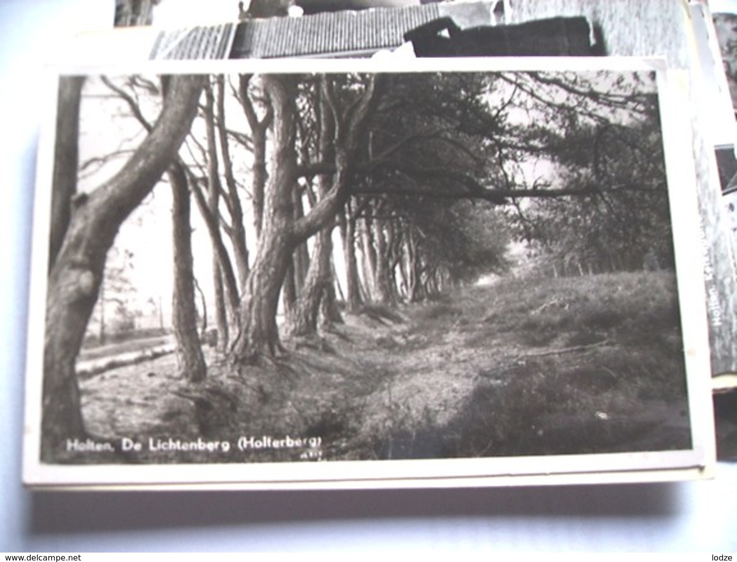 Nederland Holland Pays Bas Holten Bosrijke Holterberg Lichtenberg - Holten