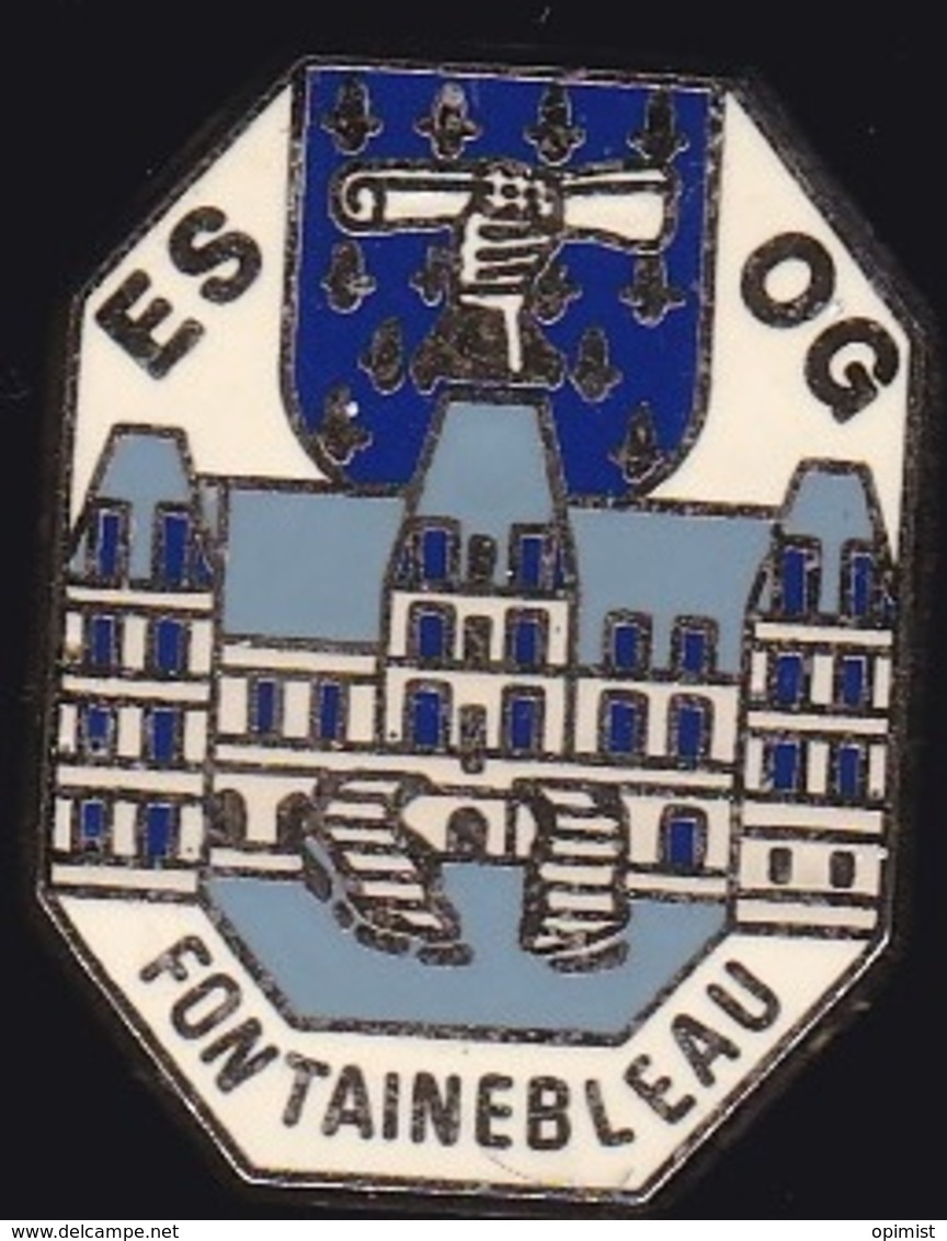 64620- Pin's. École Des Officiers De La Gendarmerie Nationale .EOGN.Fontainebleau.signé Y.Delsart.89100 Sens. - Police