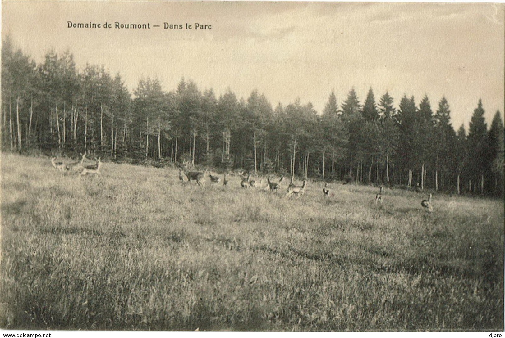 Domaine De Roumont  Dans Le Parc - Bertogne