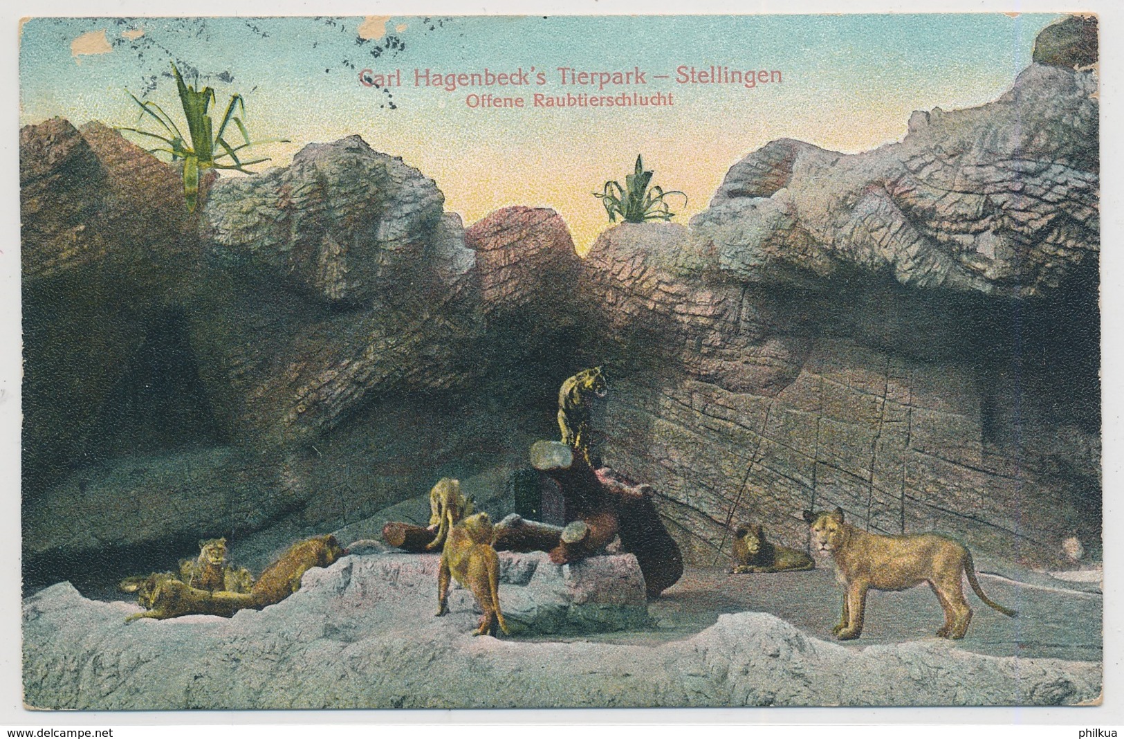 Gerald Hagenbeck's Tierpark - Stellingen - Offene Raubtierschlucht - 1908 - Stellingen
