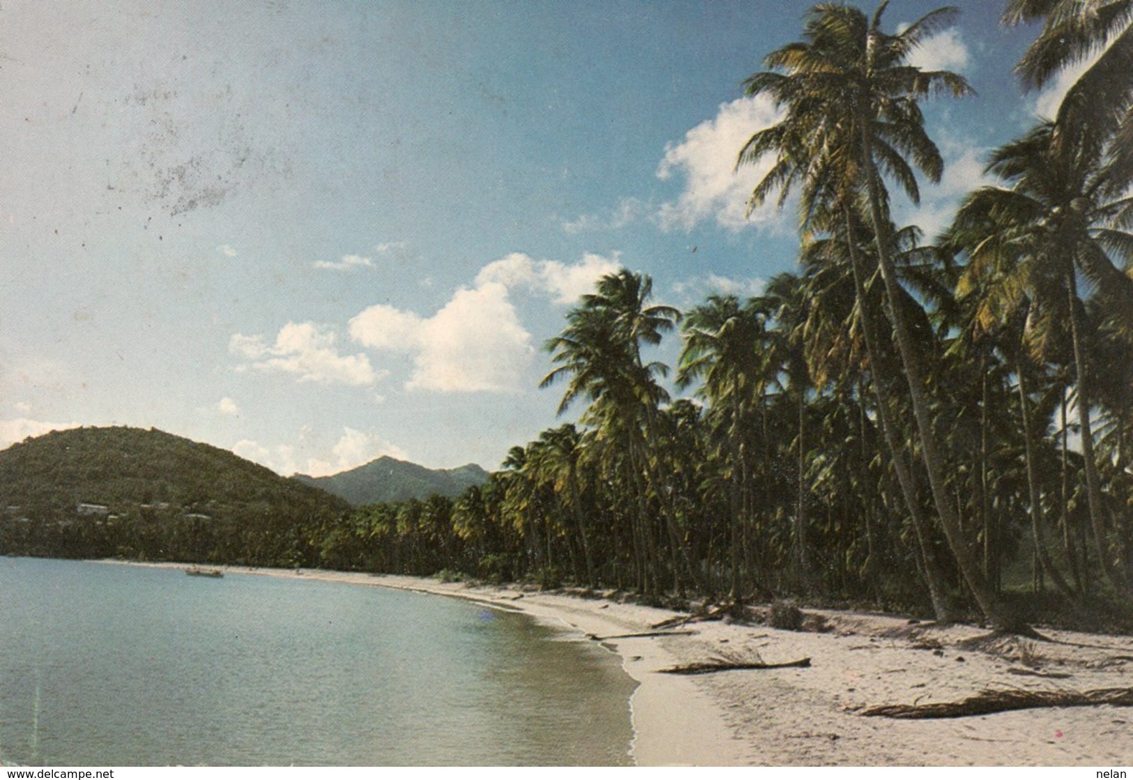 PALMS FRINGE ONE OF ANTIGUA S MANY FINE BEACHES - Antigua E Barbuda