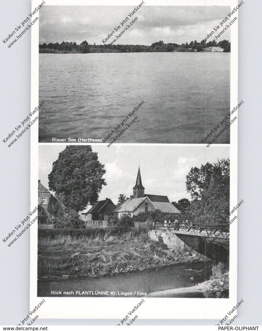 4441 SPELLE - PLANTLÜNNE, Dorfansicht, Blauer See - Meppen