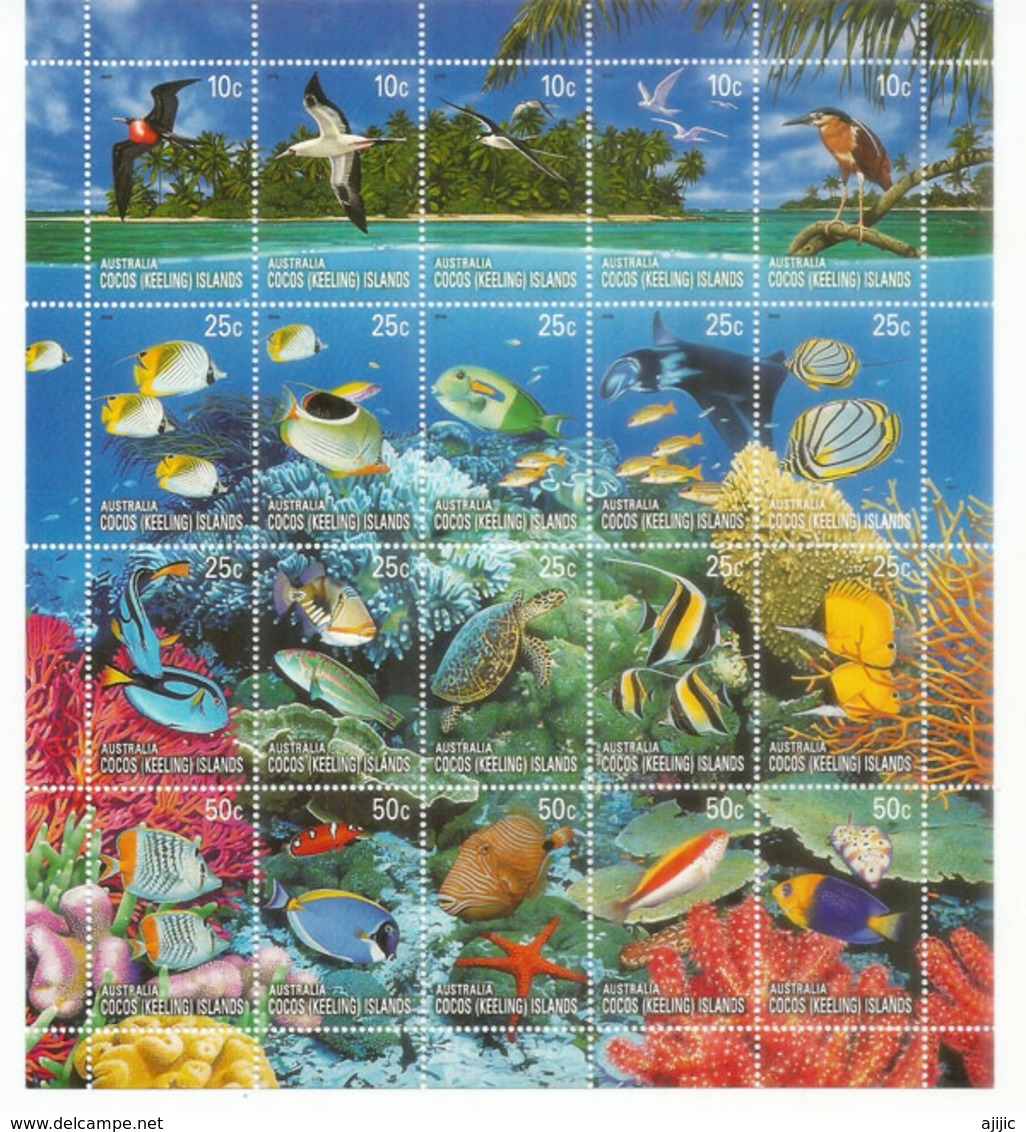 Faune Des Récifs De Corail,/Oiseaux/faune Marine Des îles, Année 2005 .  20 Timbres Neufs ** Feuillet Entier - Cocos (Keeling) Islands