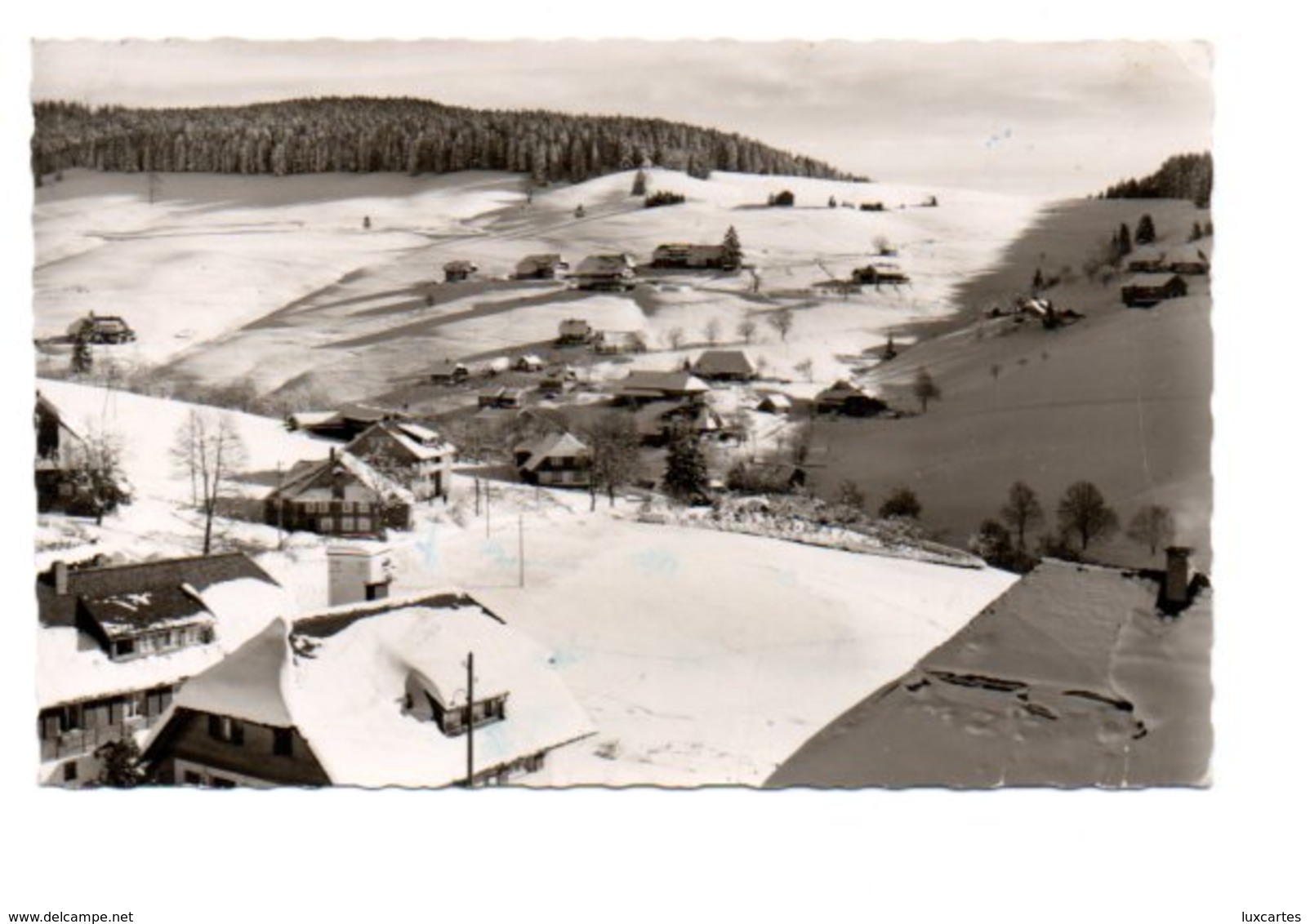 TODTNAUBERG. HÖHENLUFTKURORT UND WINTERSPORTPLATZ. - Todtnau