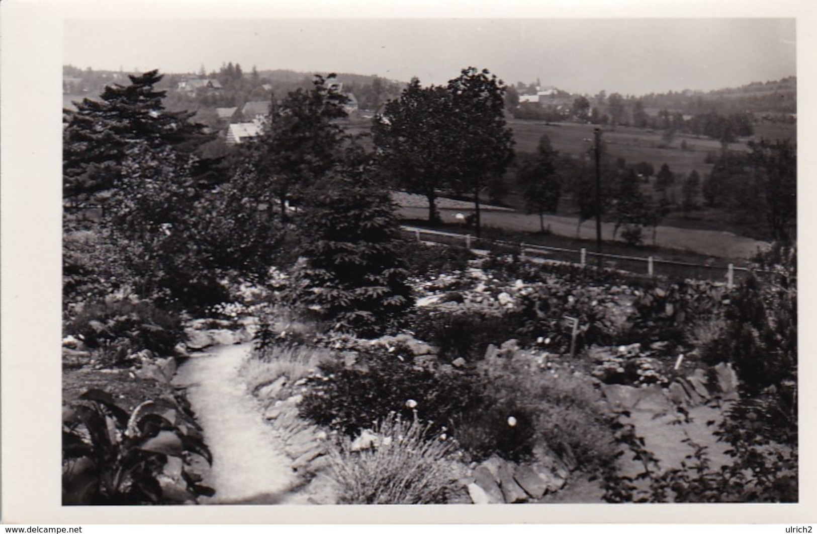 AK Kipsdorf - Panorama (49647) - Kipsdorf