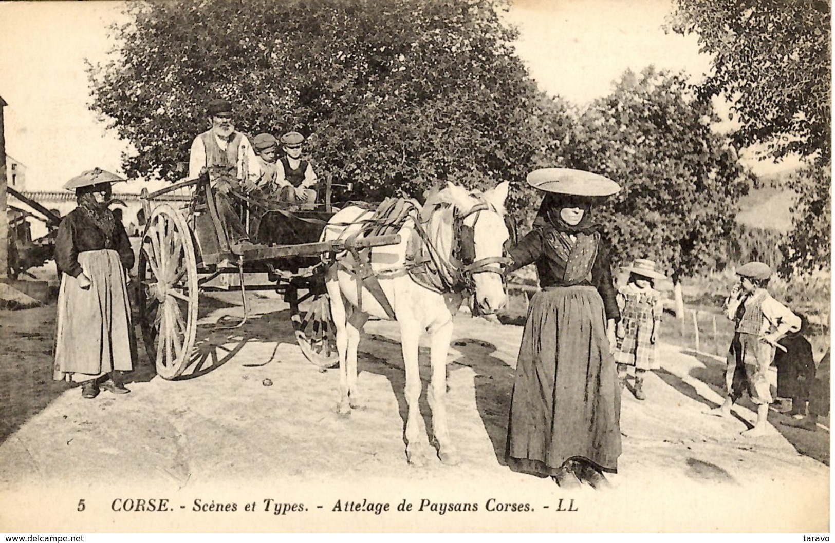 CORSE -   ATTELAGE DE PAYSANS CORSES (Région D'AJACCIO) - Ajaccio