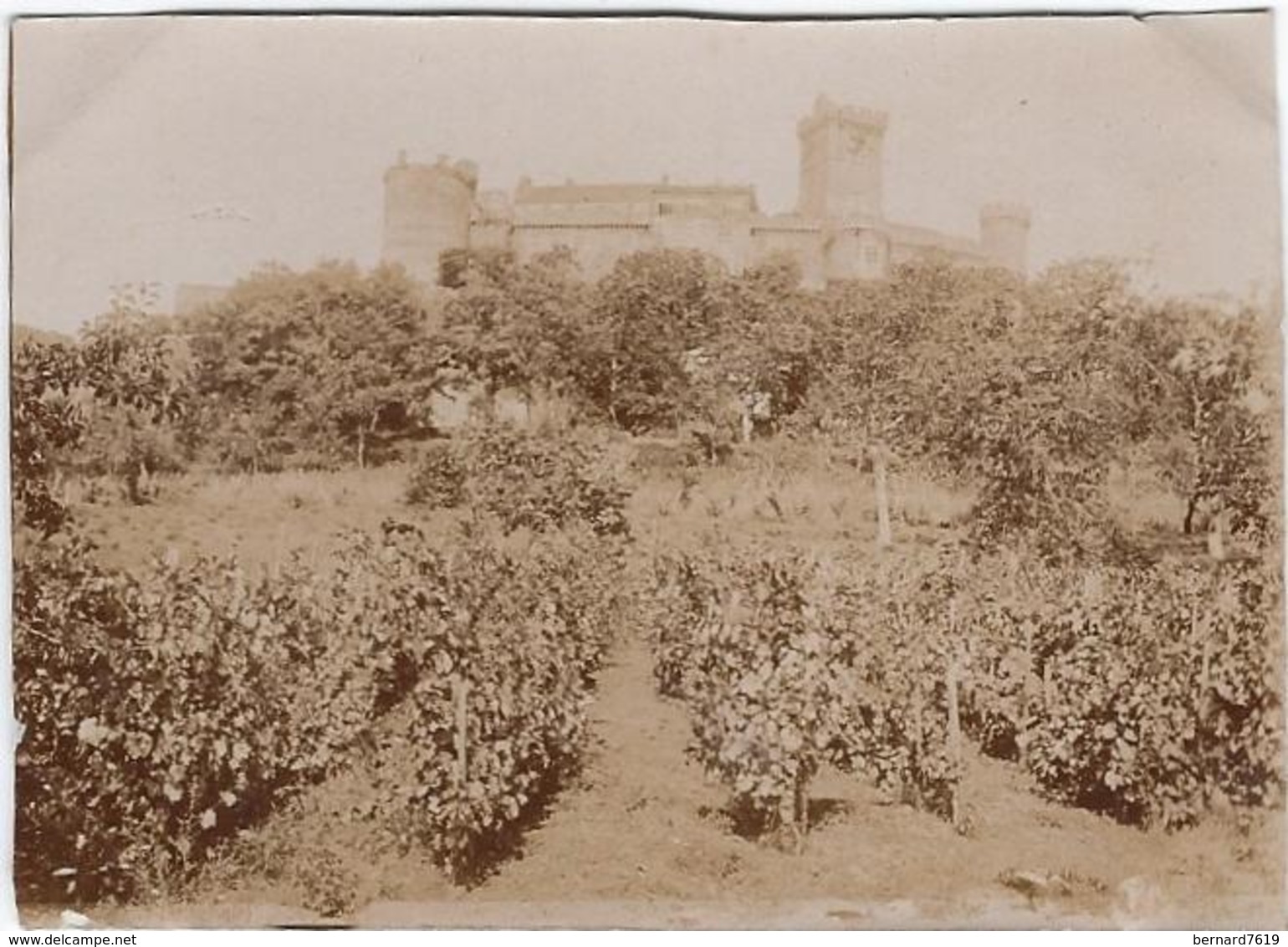 Photo 1930 Environs 24 Les Eyzies  Chateau De Castelnau - Photos