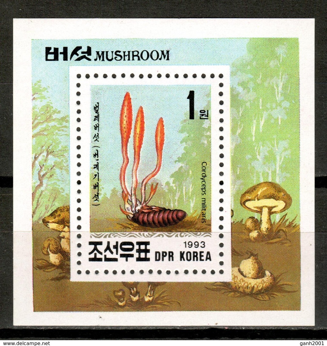Korea North 1993 Corea / Mushrooms MNH Fungi Champignons Setas Pilze / Cu16118  31-23 - Funghi