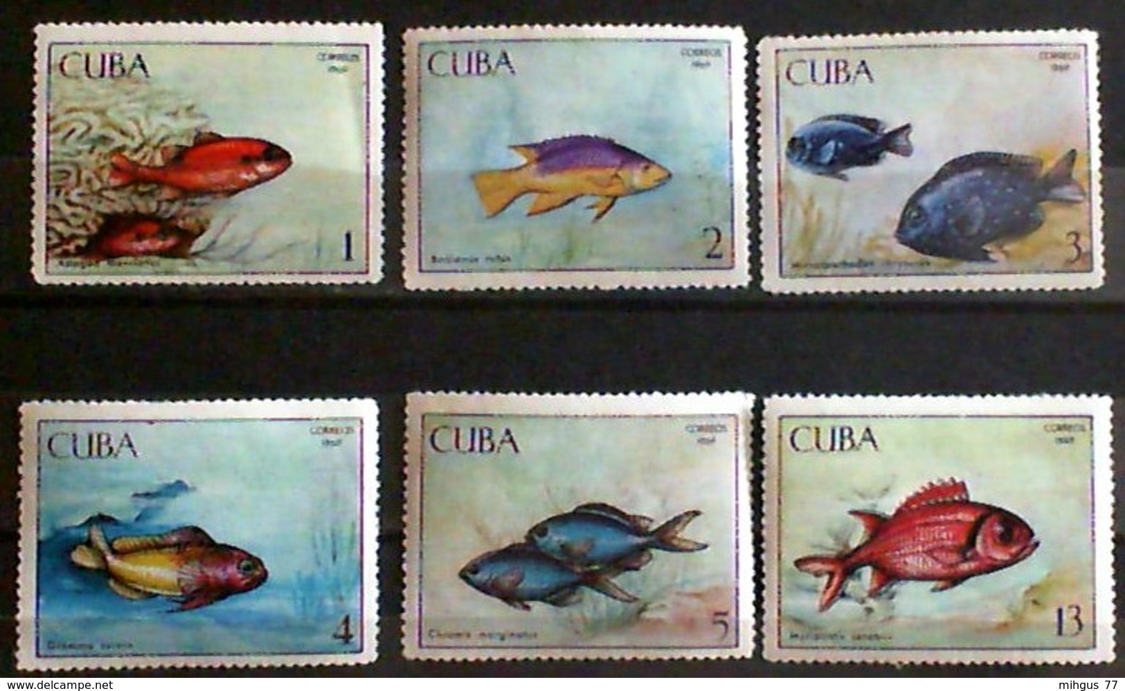 CUBA1969 Acvari Fish Unused Stamps - Colecciones & Series