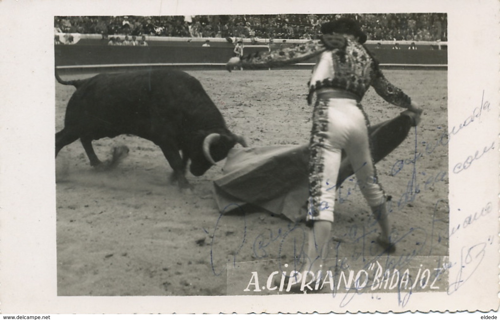 Real Photo Autograph Antonio Cipriano Badajoz Born In Coruche . Torero. Corrida . - Santarem