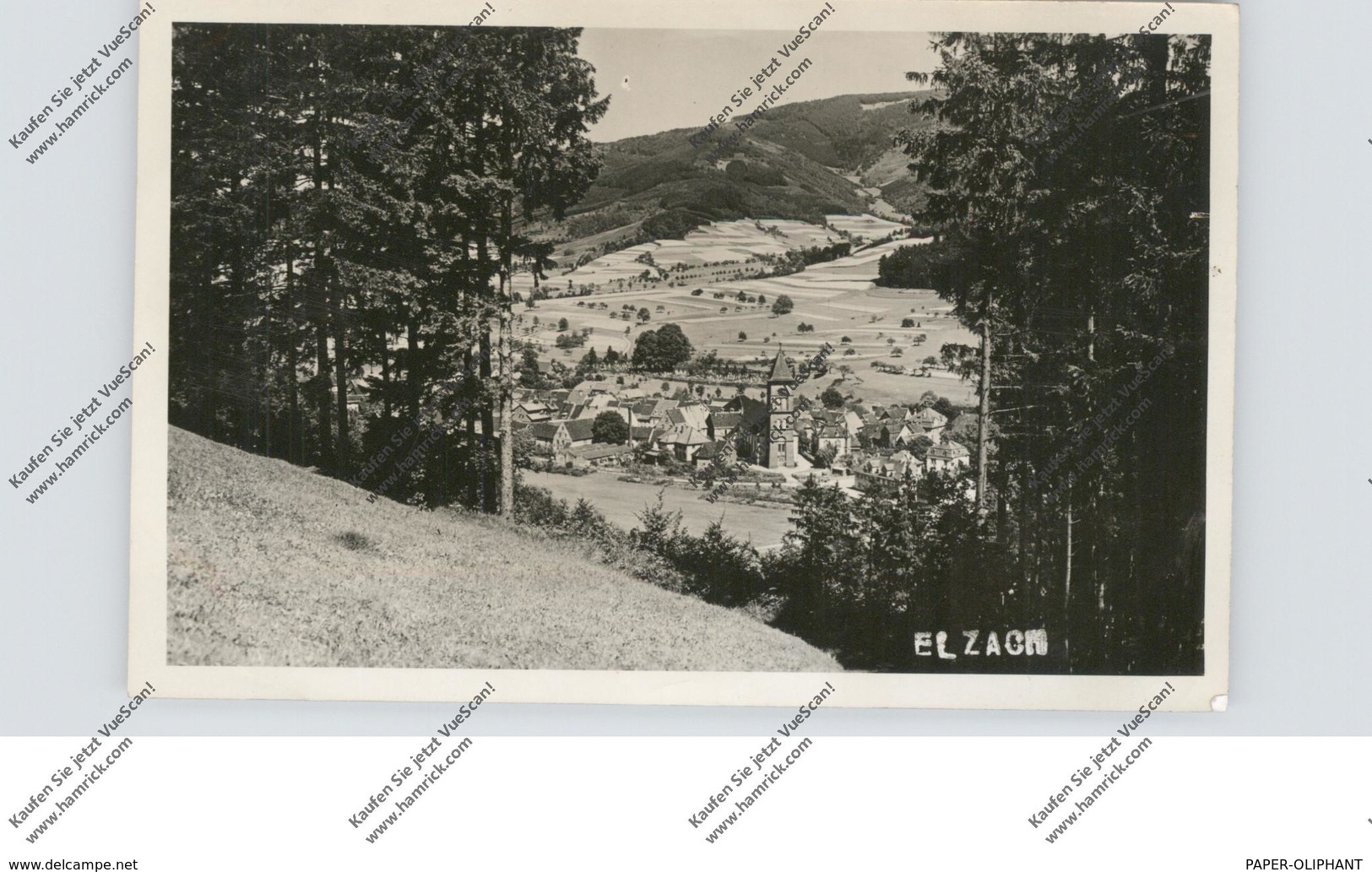 7807 ELZACH, Gesamtansicht, Photo-AK, 1960 - Elzach