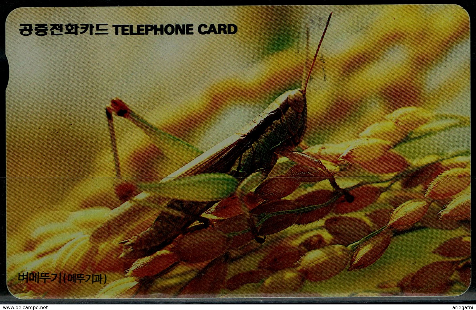 SOUTH KOREA 1996 PHONECARD INSECTS USED VF!! - Otros & Sin Clasificación