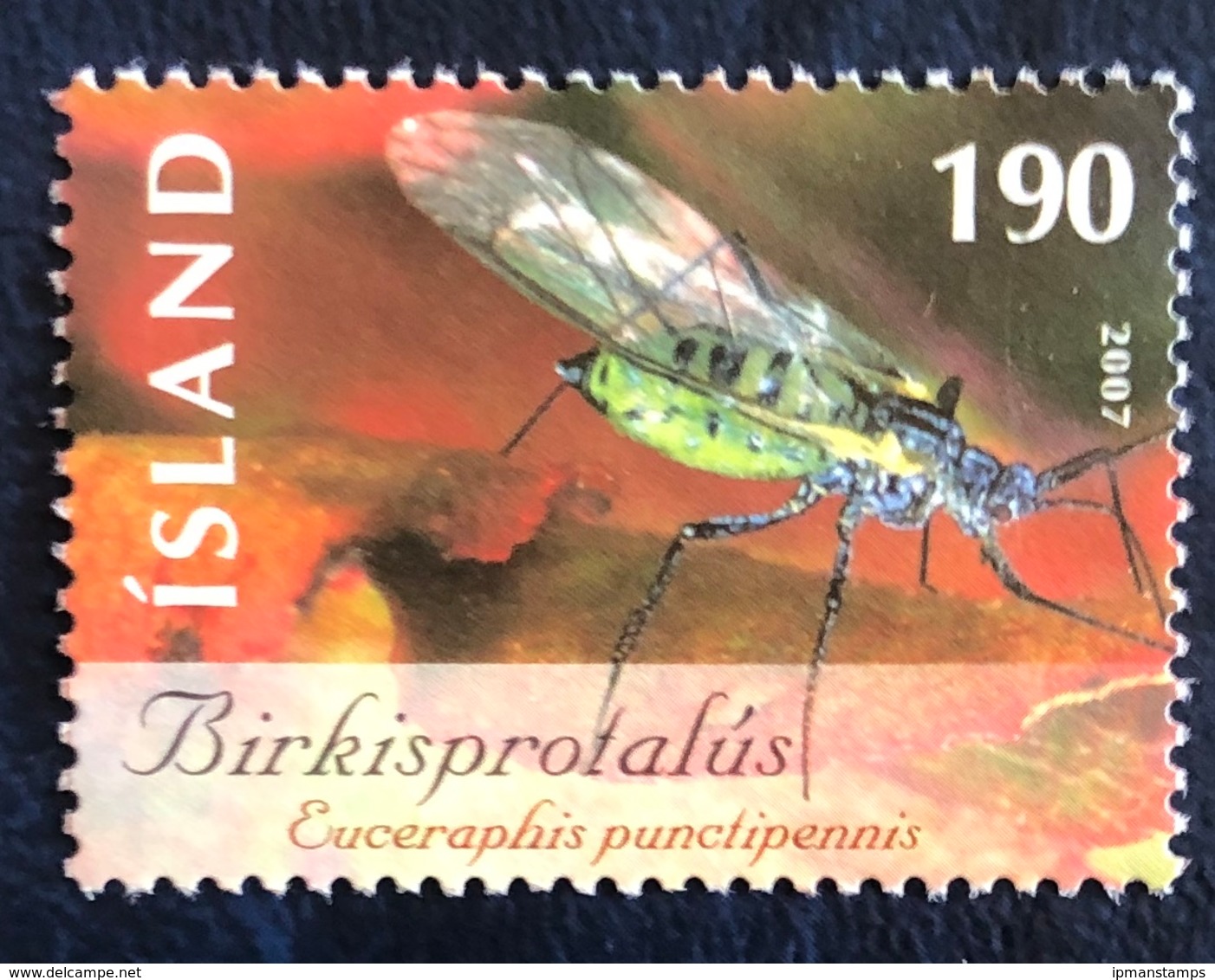 Insetto - Insect "Ecceraphis Punctipennis" - Used Stamps