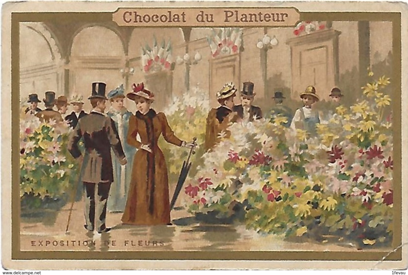 Chromo Ancien Chocolat Du Planteur Expositions De Fleurs 10.1 *6.7 Cm - Louit