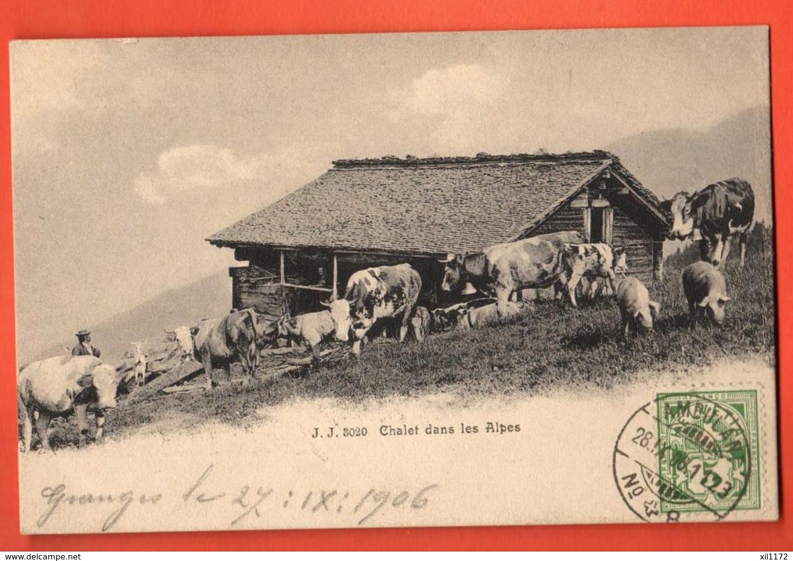 ZAA-16 Alpage De Montagne Et Troupeau De Vaches,probabl.Région Dents Midi.Envoyé Des Granges Salvan Vers Monthey 1906 - Granges