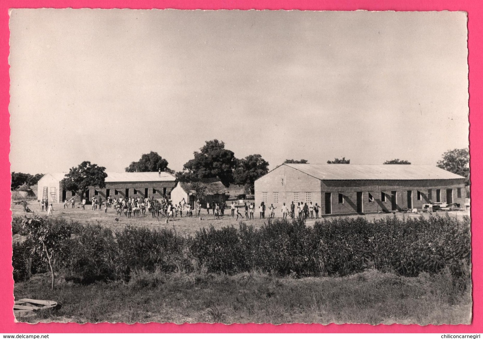 Cp Dentelée - Koudougou - Ecole Normale De Cathéchistes Du Diocèse - Haute Volta - Animée - St - Pères Blancs - Burkina Faso