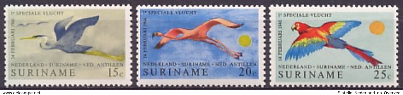 Suriname NVPH Nr 553/555 Postfris/MNH Lijndienst Amsterdam-Paramribo, Vogels, Birds, Oiseaux 1971 - Suriname ... - 1975