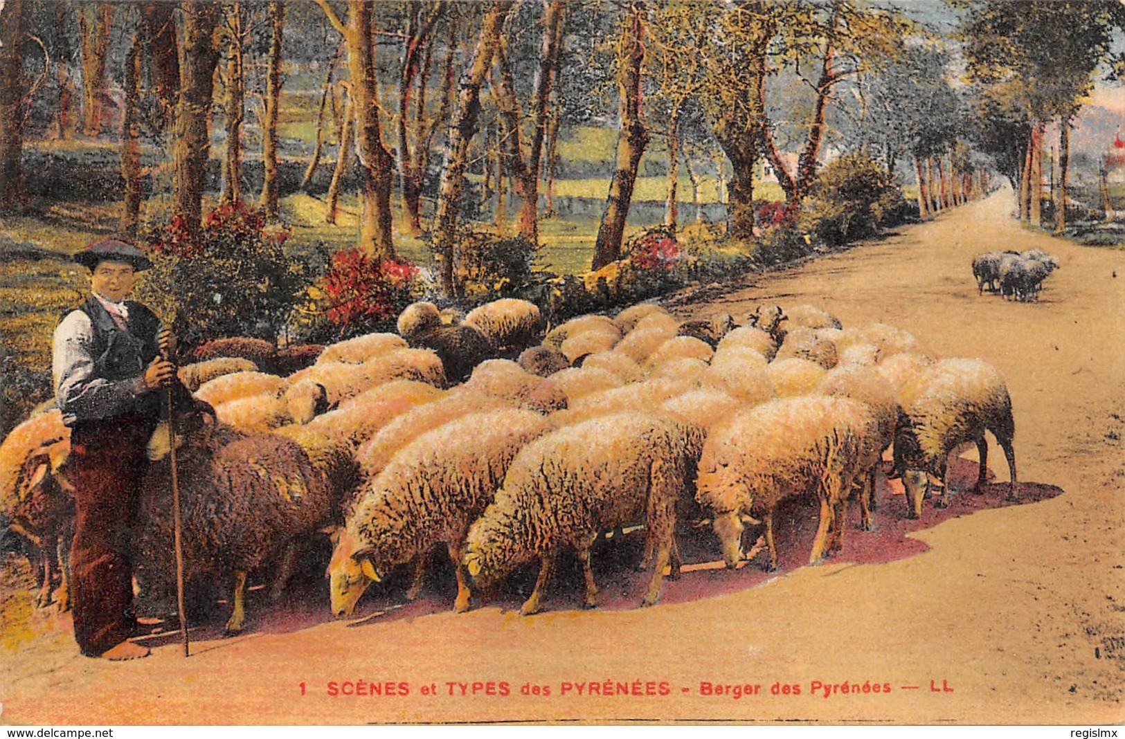 64-BERGER DES PYRENEES-N°336-C/0005 - Altri & Non Classificati