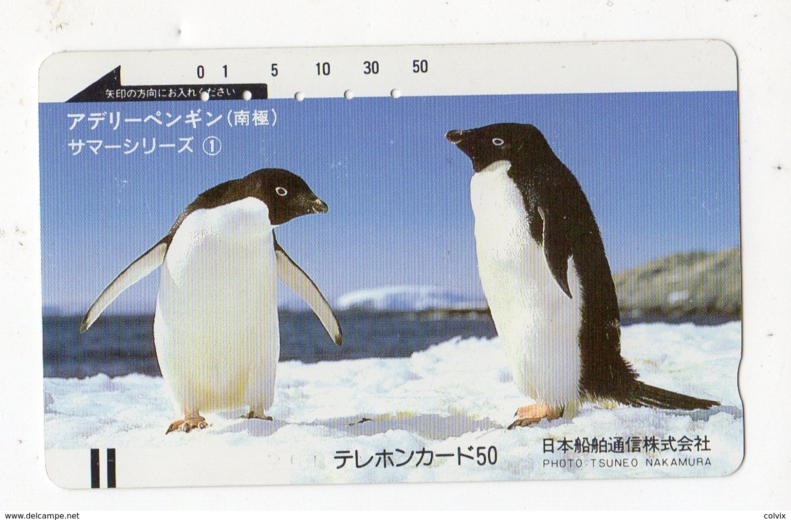 JAPON TELECARTE ANCIENNE NTT FRONTBAR BARCODE 110-7020 PINGOUIN Photo : Tsuneo Nakamura - Pingouins & Manchots