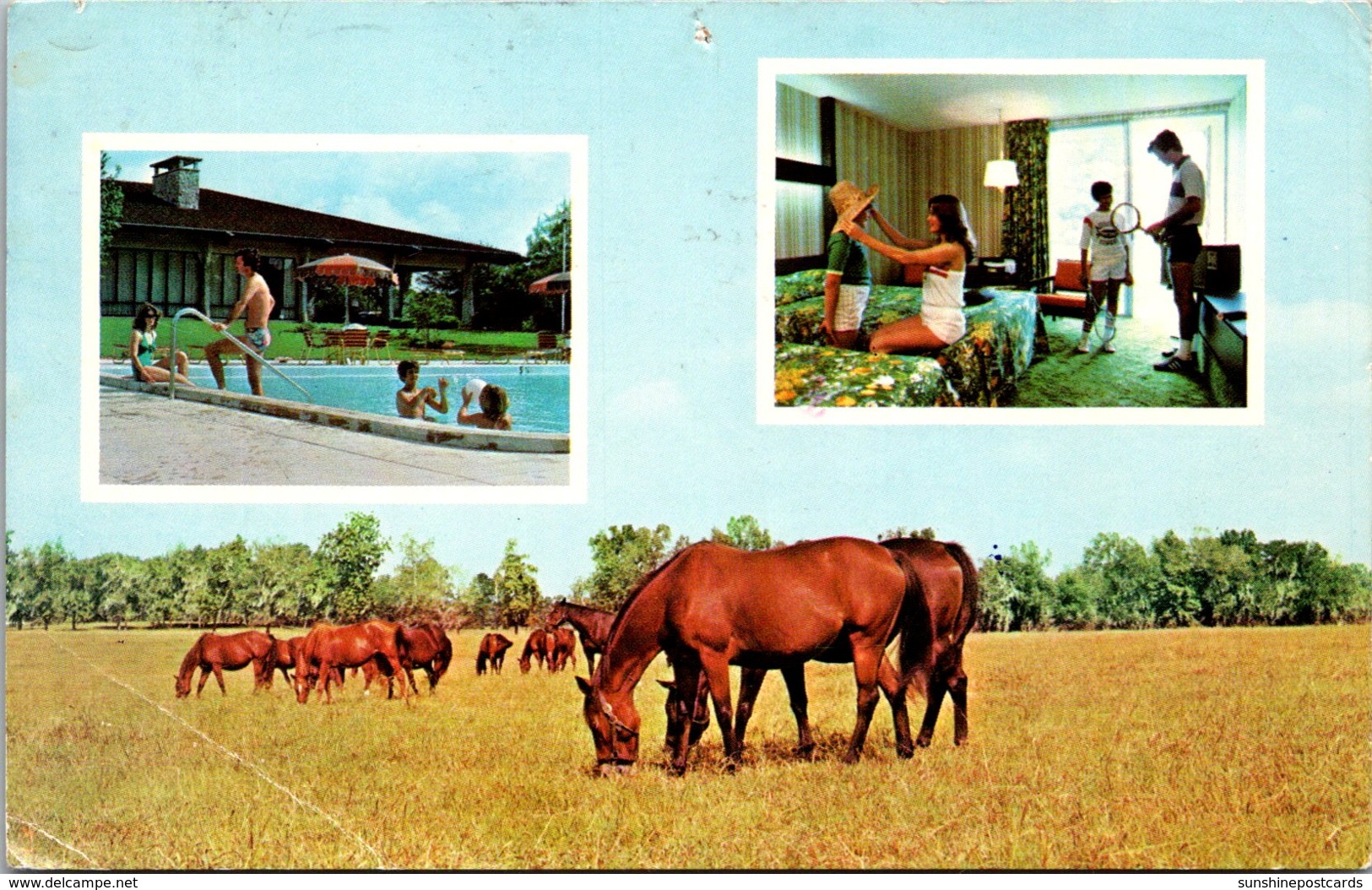 Florida Ocala Sheraton Country Inn 1980 - Ocala