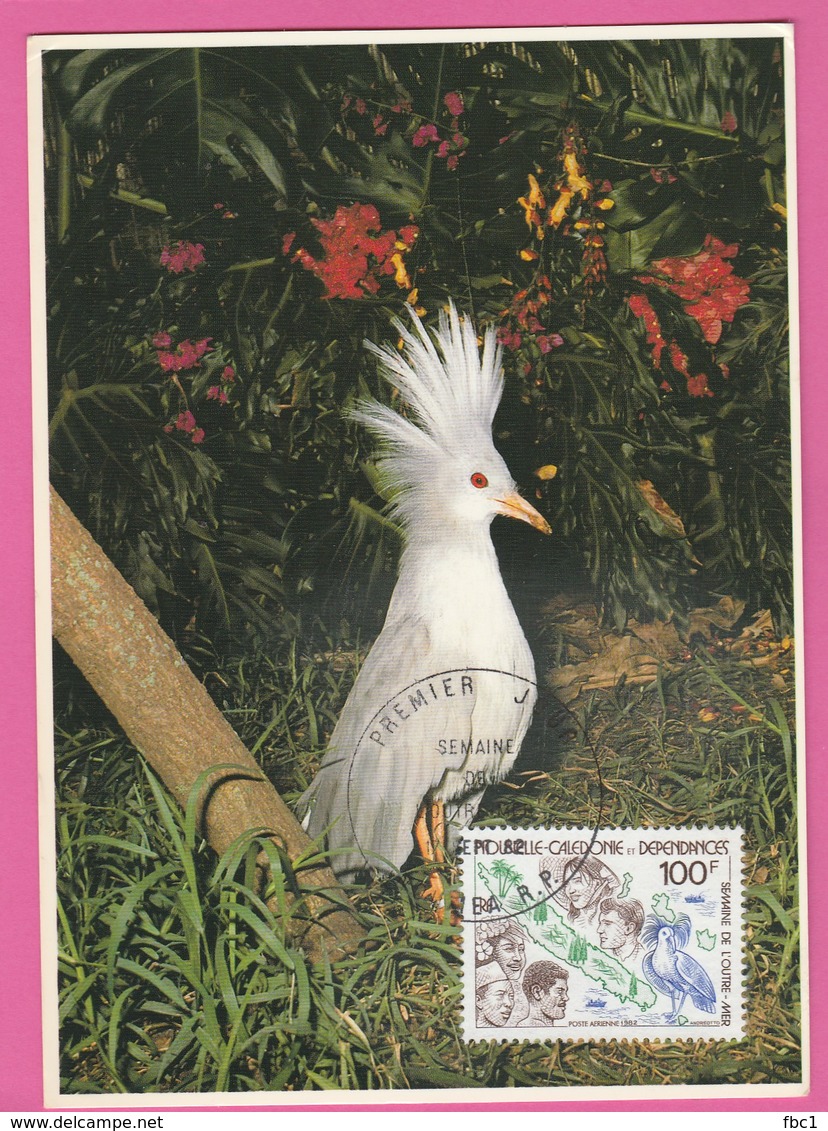 Carte Maximum - Oiseaux - Nouvelle Calédonie - Le Cagou 1982 - Cartoline Maximum