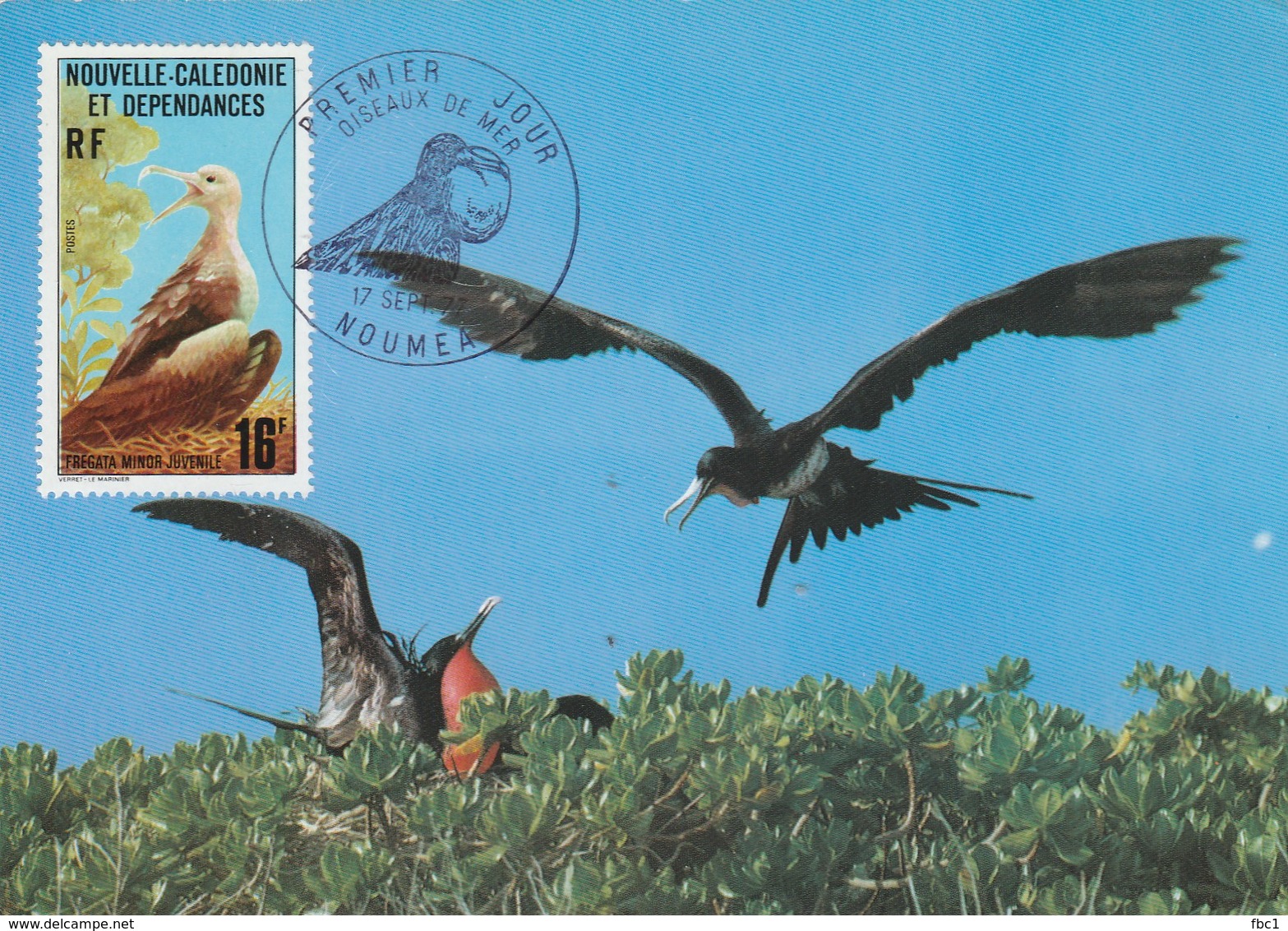 Carte Maximum - Oiseaux - Nouvelle Calédonie - Fregata Minor 1977 - Cartes-maximum