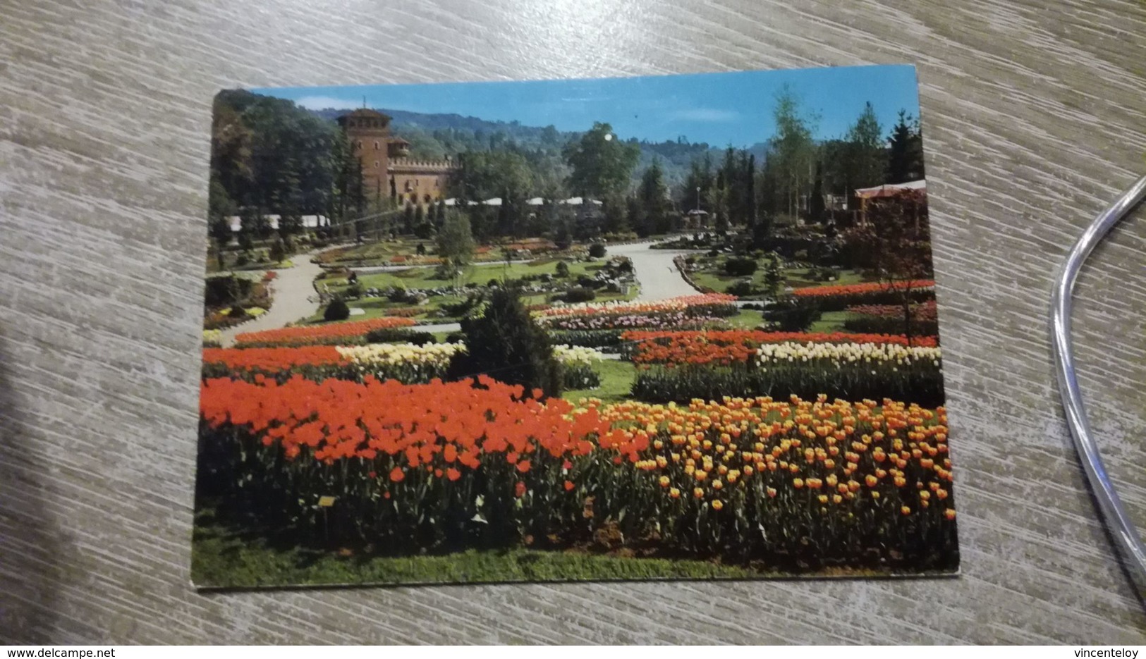 CARTE POSTALE TORINO En L'état Sur Les Photos - Parks & Gärten