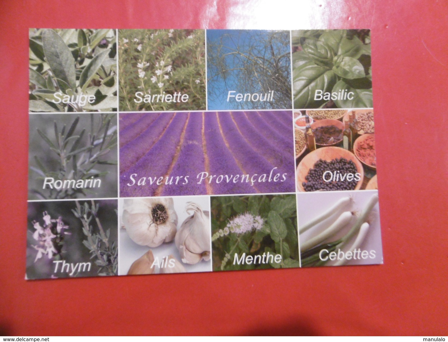 Plantes - Sauge, Sarriette, Fenouil, Basilic, Romarin, Olives, Thym, Ails, Menthes, Cebettes - Heilpflanzen