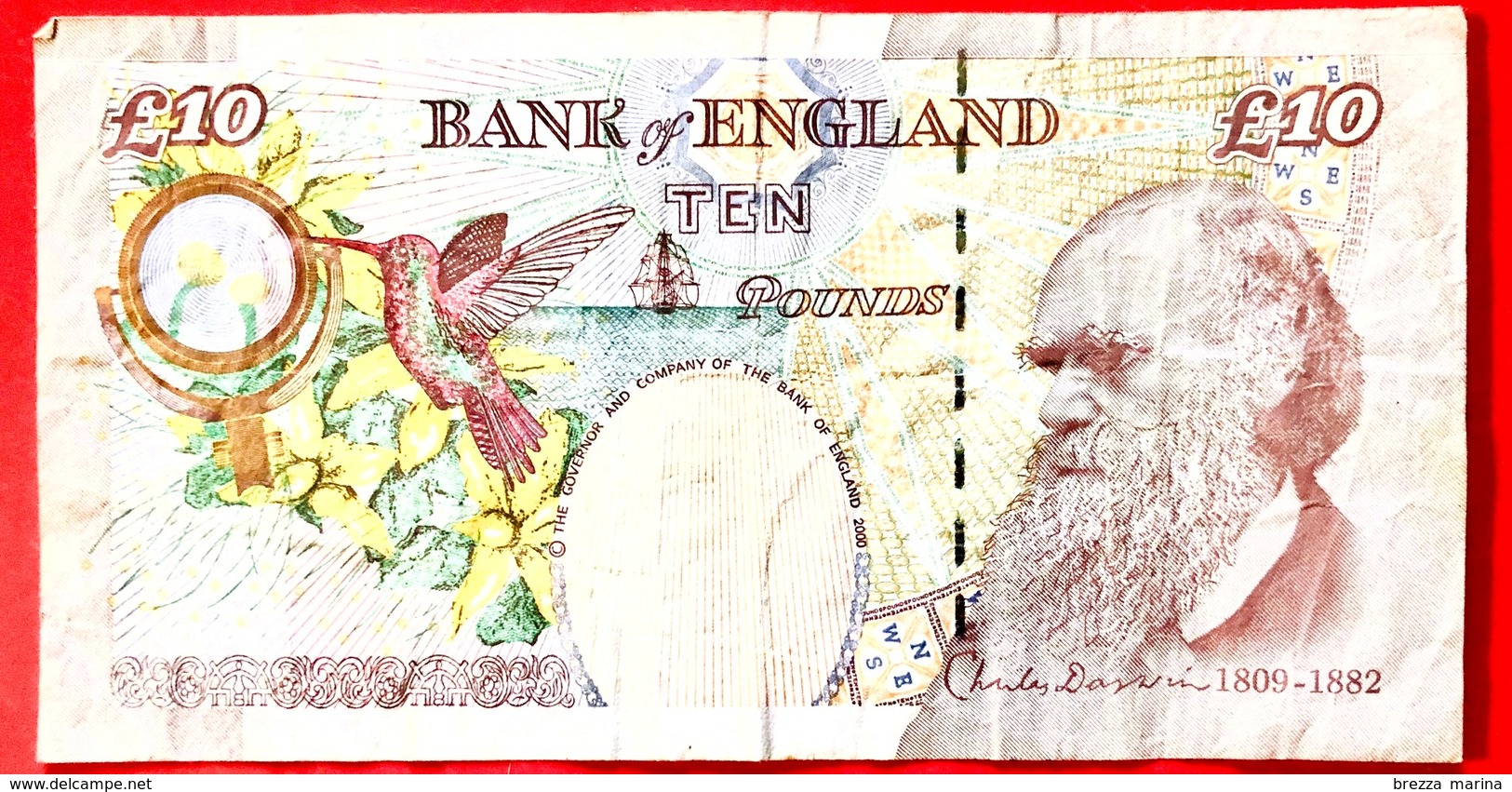INGHILTERRA - GB - Bank Of England - 2000 - Charles Darwin - 10 Sterline - Ten Pounds - 10 Pounds