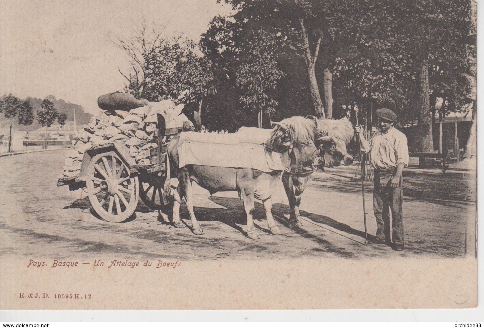 CPA Pays Basque - Un Attelage De Boeufs (très Belle Scène) - Andere & Zonder Classificatie