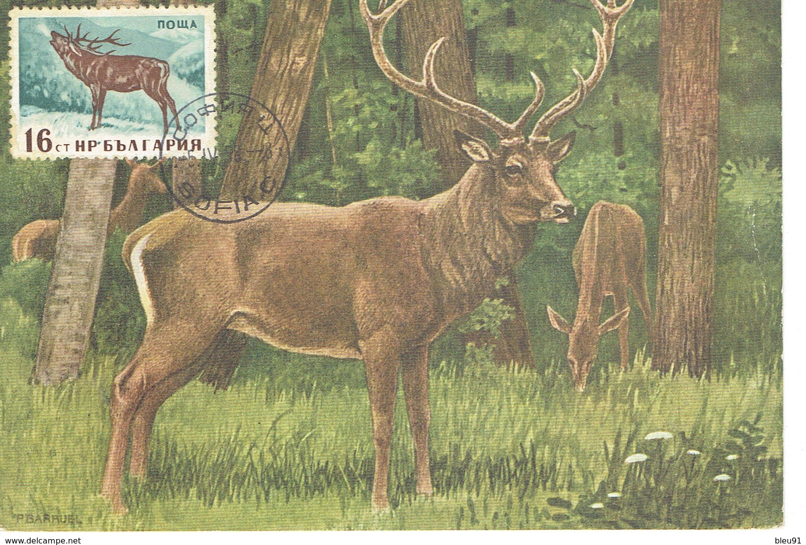 CARTE MAXIMUM  CERF 1958 - Storia Postale