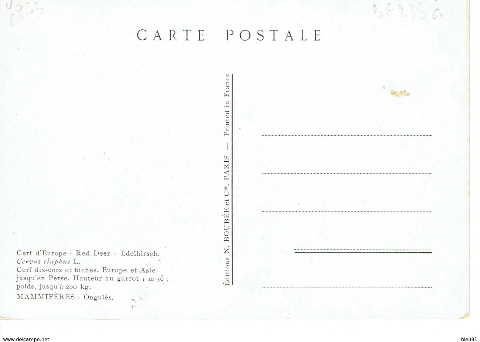 CARTE MAXIMUM  CERF 1958 - Briefe U. Dokumente