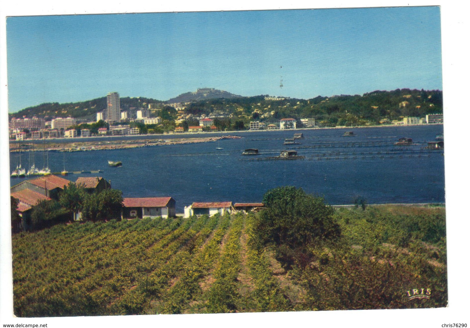 CPM 83 LA SEYNE SUR MER Parc à Moules 1987 - La Seyne-sur-Mer