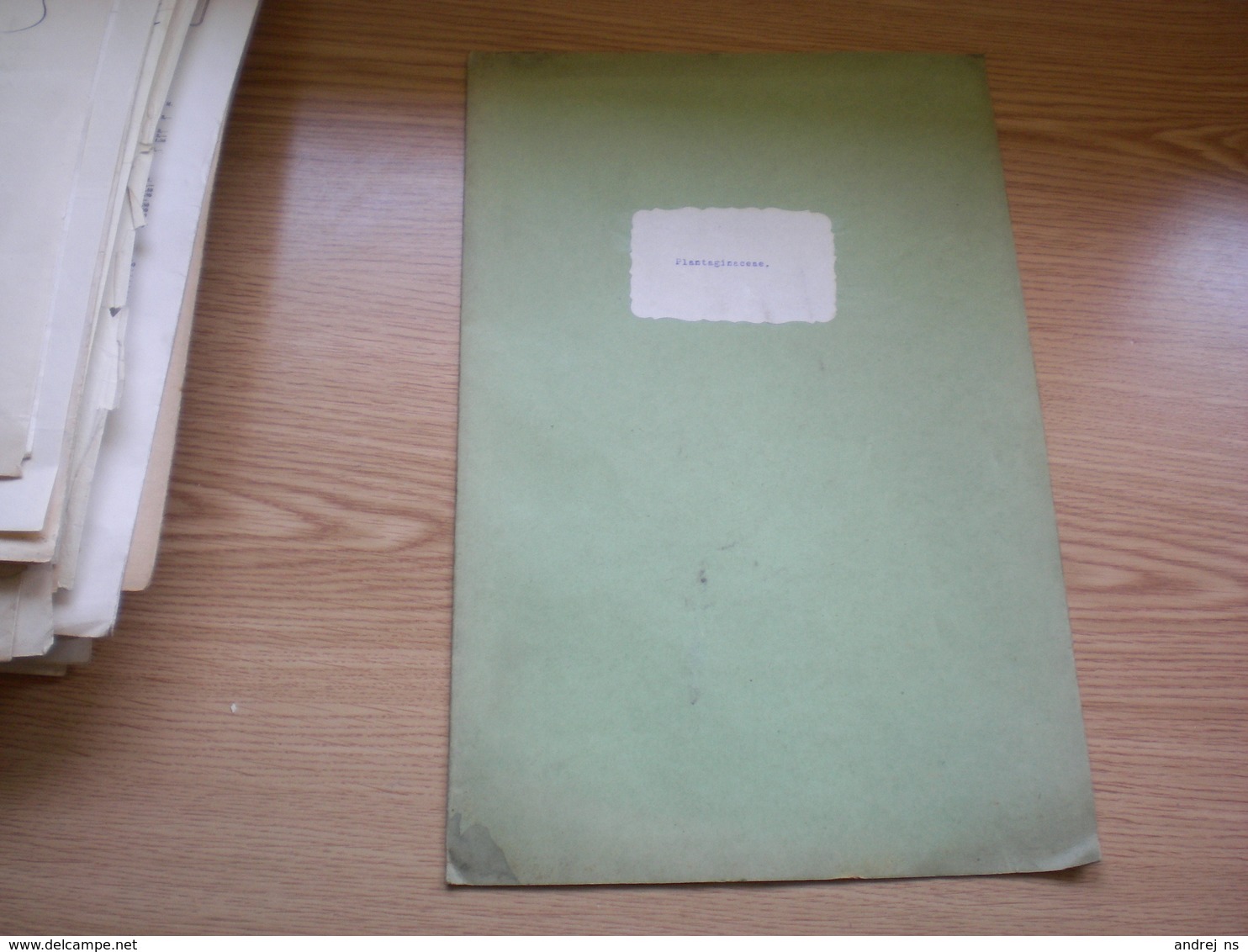 Old Herbarium Plantaginaceae 1927 - Other & Unclassified