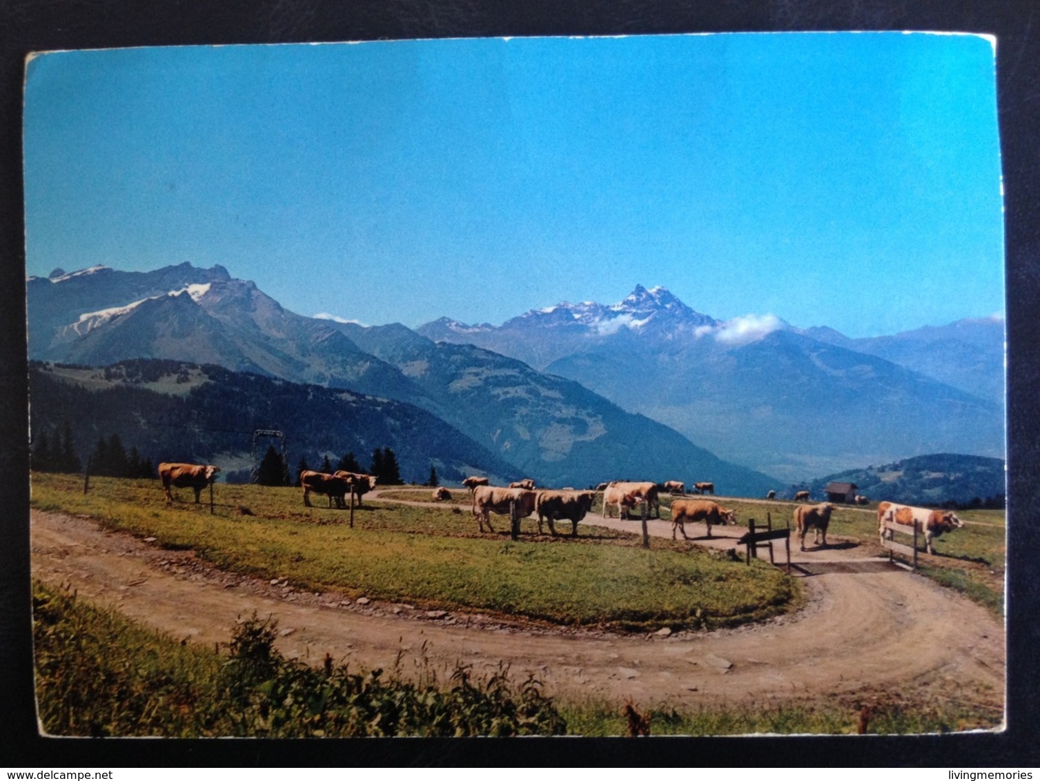 Switzerland, ALPE DES CHAUX - La Chaux