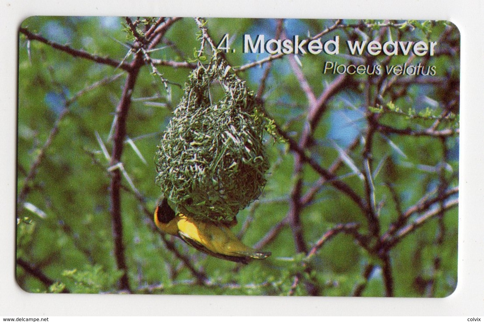 NAMIBIE REF MV CARDS NMB-87 N$20 OISEAU MASKED WEAVER DATE 1999 - Namibie