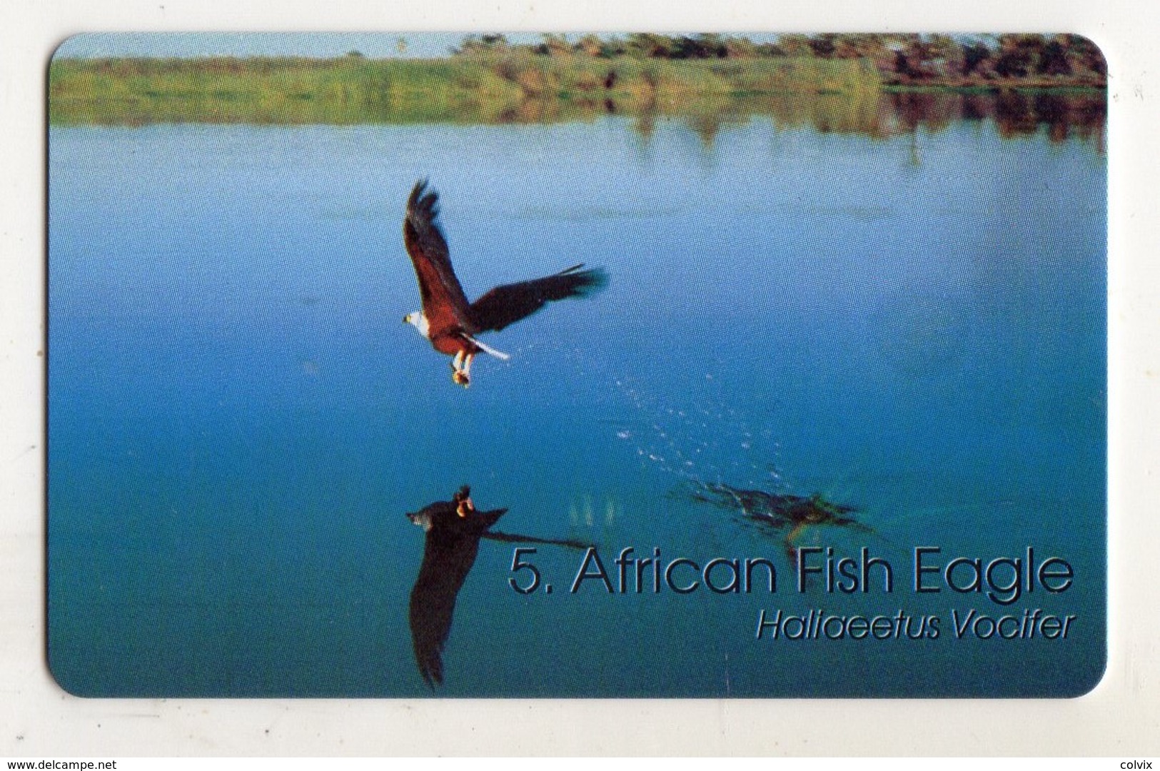 NAMIBIE REF MV CARDS NMB-88 N$20 OISEAU AFRICAN FISH EAGLE DATE 1999 - Namibia